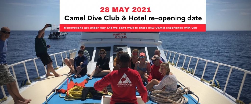 Camel re-opening 2021