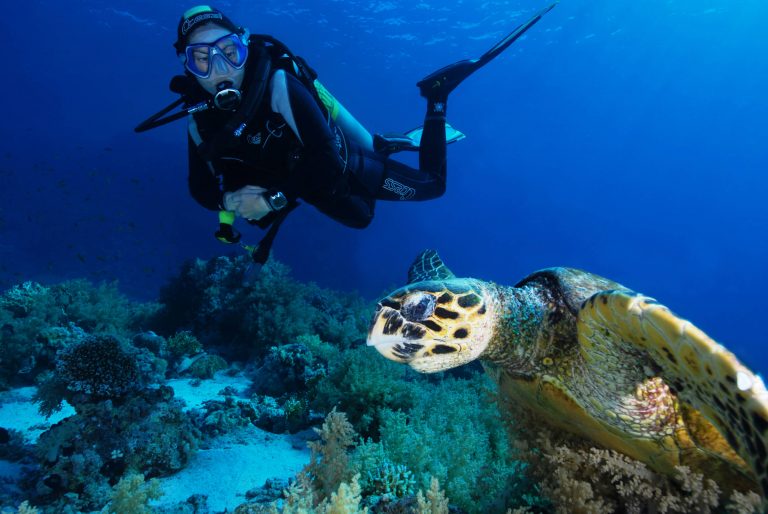 specialità Marine Ecology