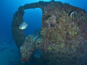 SS Dunraven