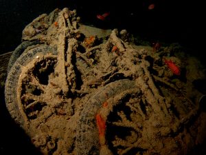 Dozens of motorbikes inside the wreck, the SS Thistlegorm is one of the best wrecks in the World
