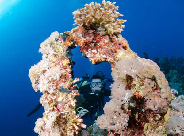 Gordon Reef dive site