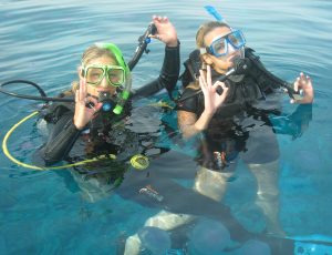 Basic Diver