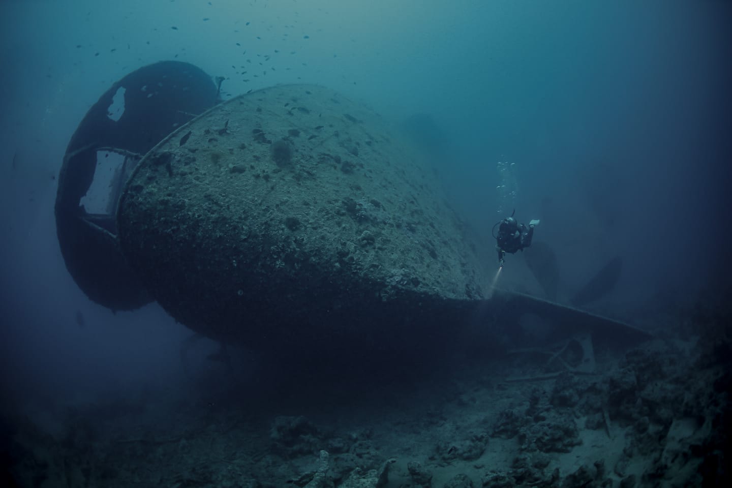 Specialità Advanced Wreck Diver