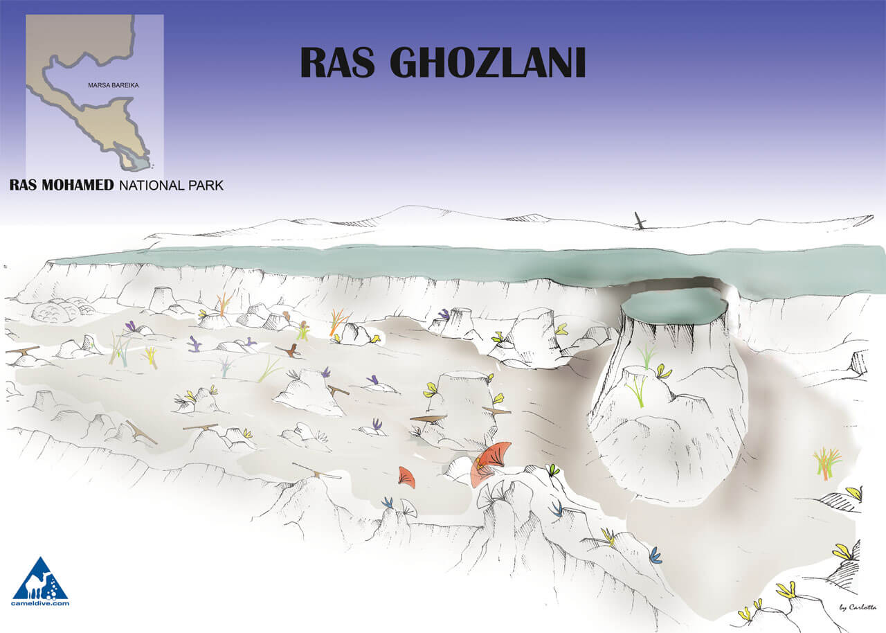 Ras Ghozlani