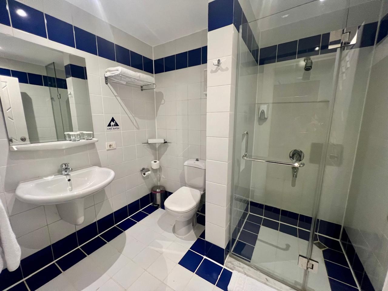 Hotel room ensuite-bathroom view