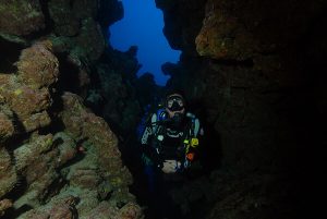 Diving in Dahab's Canyon