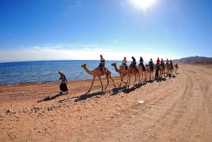 Camel riding