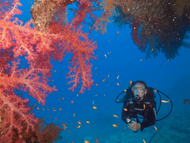 Science of Diving Specialty