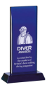 DIVER Award 2015