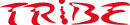 Tribe shop logo