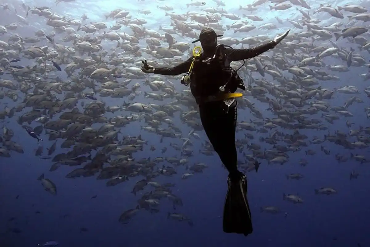 SSI Divemaster