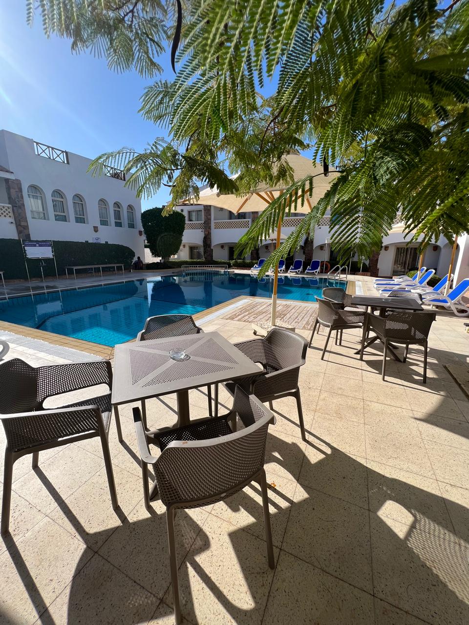 Camel Dive Resort - View of the seating and the custom built dive pool from the shade of a tree.