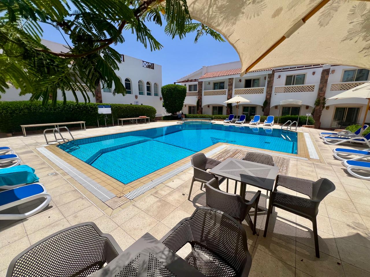 Camel Dive Resort - View of the pool and seating from the shade of a parasol.