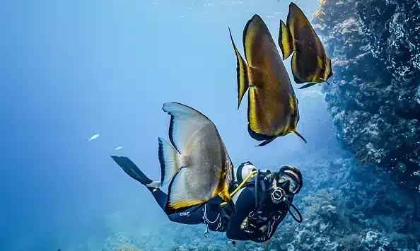 Camel Boutique experience for small group